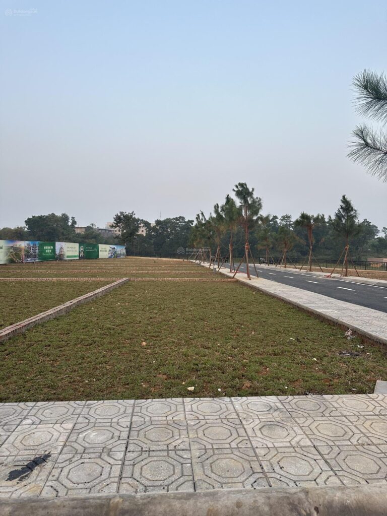 Bán nhà Huỳnh Văn Bánh P13 5m x 20m, DtCN 79m2, giá 22 tỷ